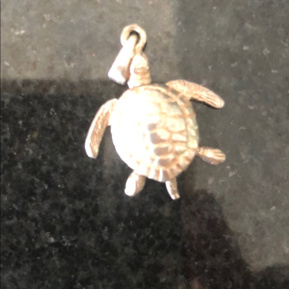 Sterling Silver Turtle Charm - Picture 2 of 3